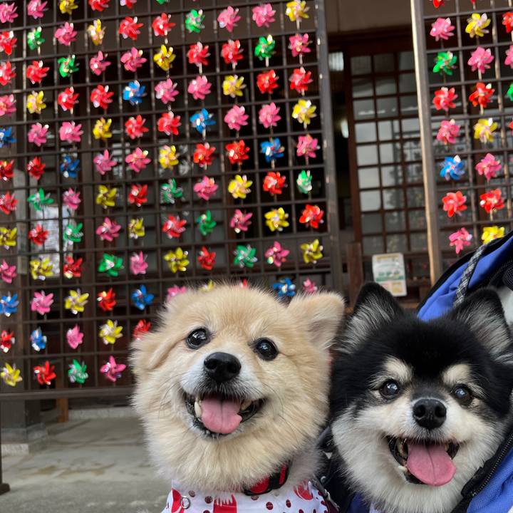 5512127e bb53 430f 82ef 48e7b97ab011 1661703298266