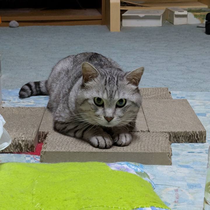 55121a9b a146 4a82 998b 3db78d3e5e4e 1753180145178