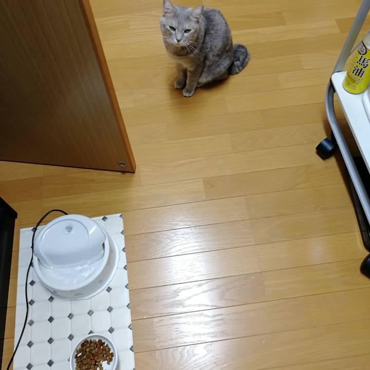 5512d2bb cf25 4803 a138 62fcf5ca281c 1538914305539