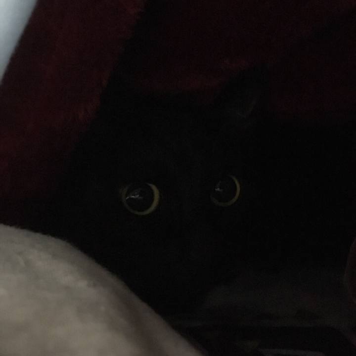 5512dad8 a1af 4ede b54c fc64a05e4045 1508595778709