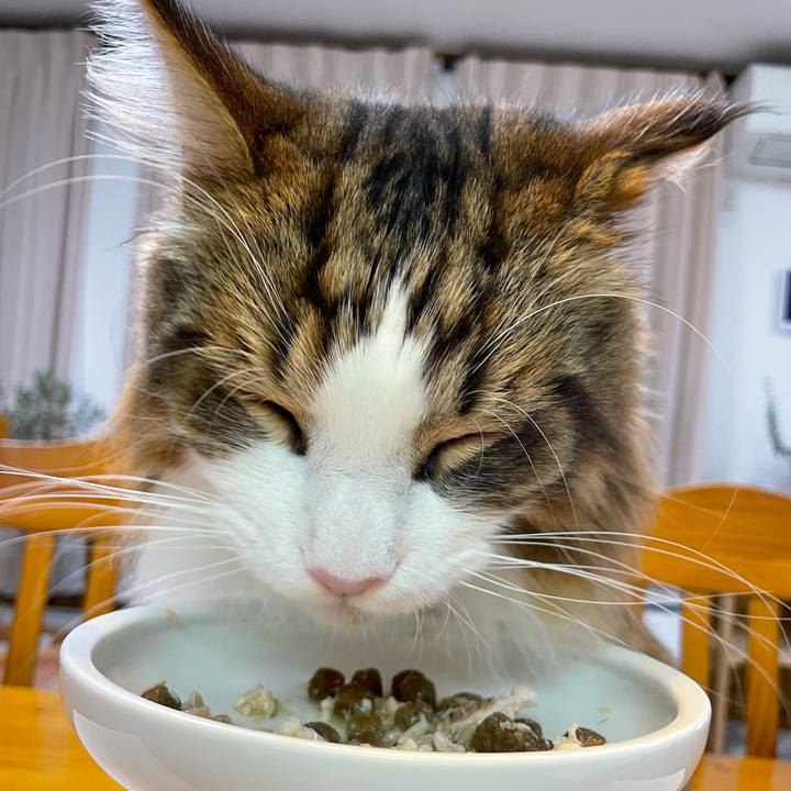 5512f0b5 51cb 4b64 a213 e0a64e24b7ab 1667210068296