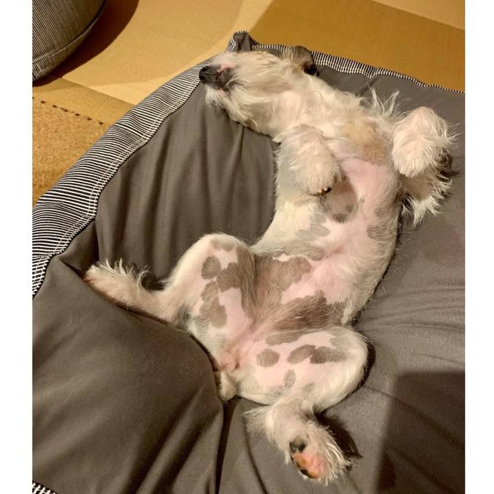 55130816 a3e5 4310 aa39 b46530c6e436 1667905051858