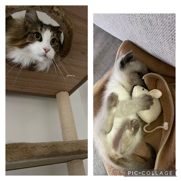 551315bc de3c 40af b734 c219d20e9d81 1685137542682