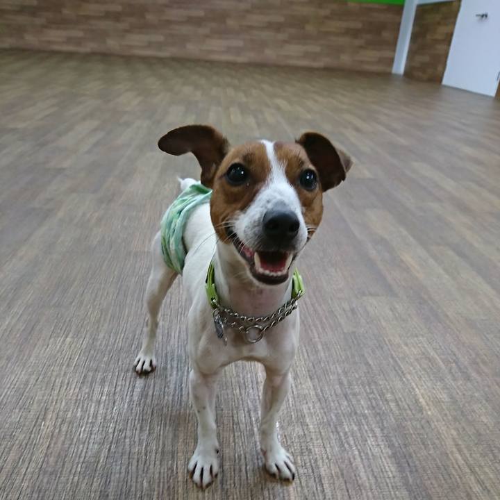 551319fb 9399 437d 83cc 076781f79e36 1549195511192