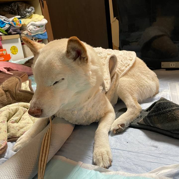 5513219e abec 42ef a272 bb8e8e35dacd 1638807986329