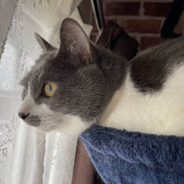 55133325 c1a1 46b6 bb99 cd666a7219ec 1661034111620