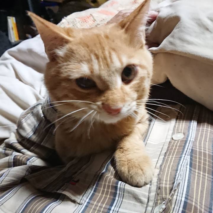 55134c21 c28f 497d 9fad 4f3c26756fa7 1635798526374