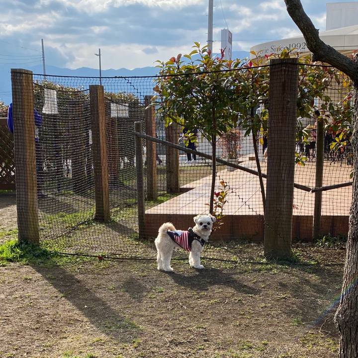 55136b8a f57b 4f61 9fc9 5d5668c8b0d4 1583053418042