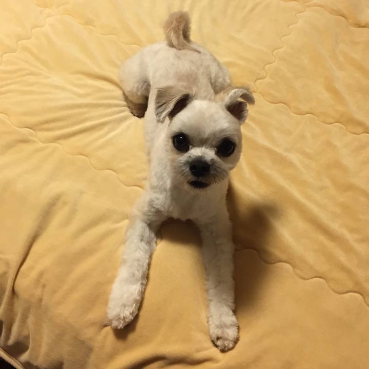 551376a0 b9e8 4720 8558 40f039e5113a 1529286770651