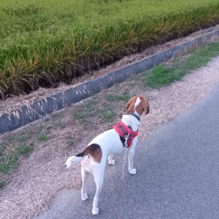 55139791 da32 4046 8d86 4762a74dc0c7 1726307135854