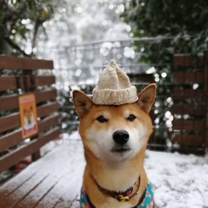 5513aef2 9388 4aed b19d e20506340554 1641454557994