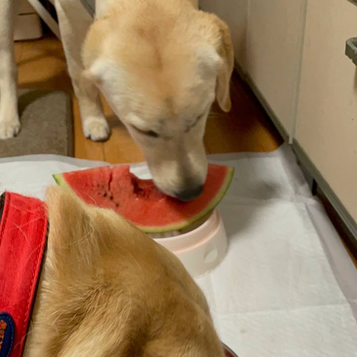 5513ba78 99f5 4cde a8e9 fef1de79e5e8 1623157299760