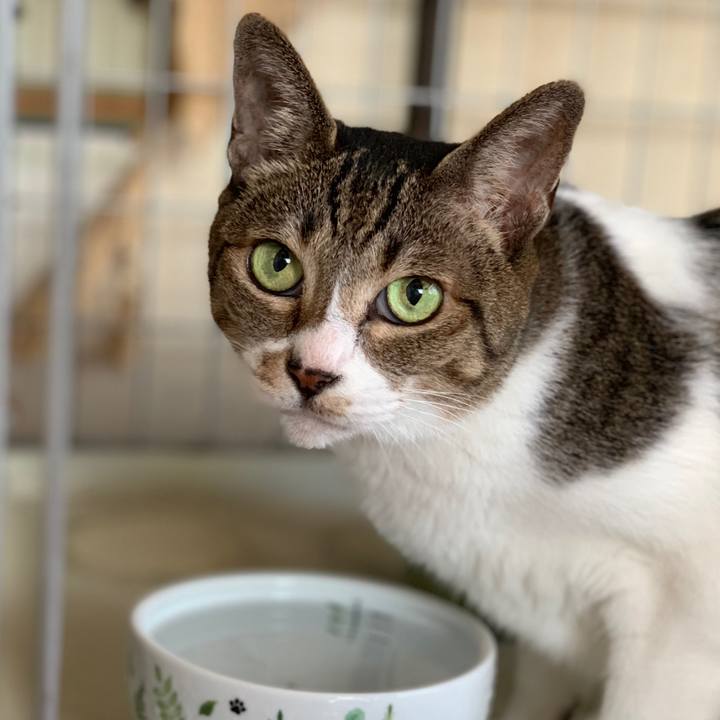 5513c945 a239 43e3 a2c0 4e8a499106c9 1568509969179