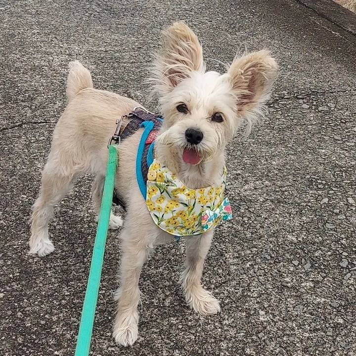 5513d1e7 c77f 4711 bc68 dc2e7930990d 1629730698444