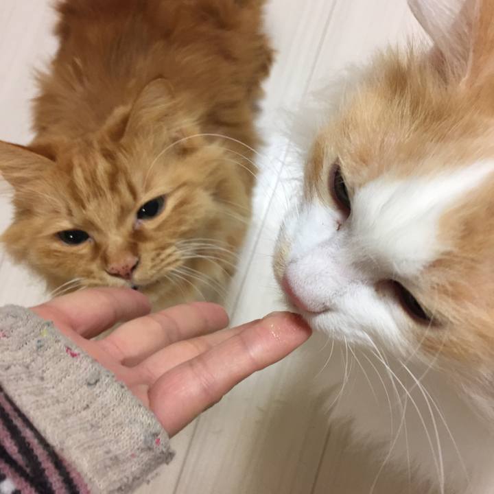 5513e3e3 c9d9 4354 95e2 c853b65fbc95 1517002769325