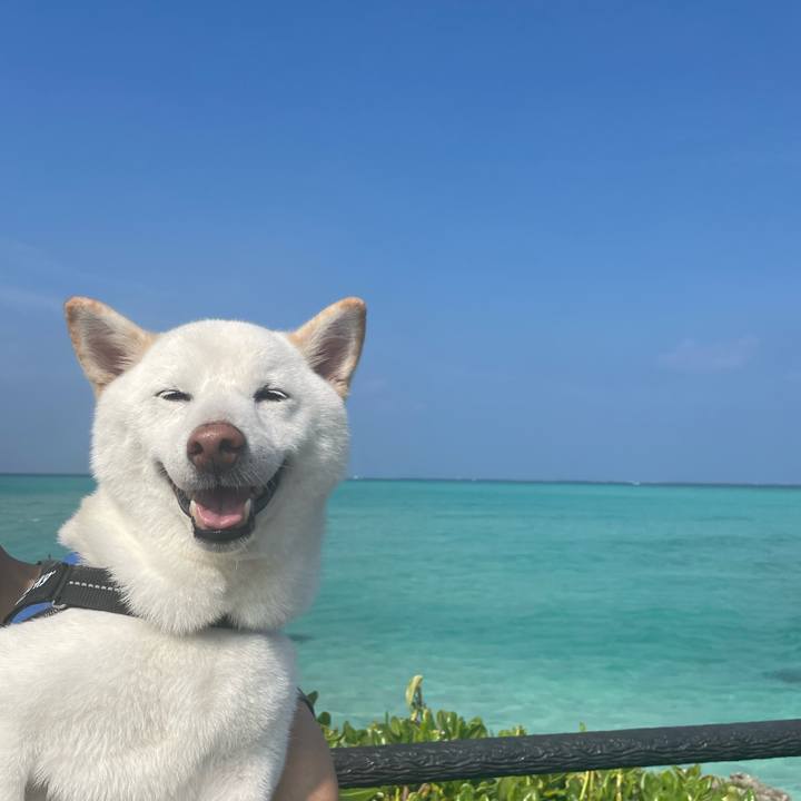 5513ecbf 3cdd 476b b005 178a2878a689 1663569361503