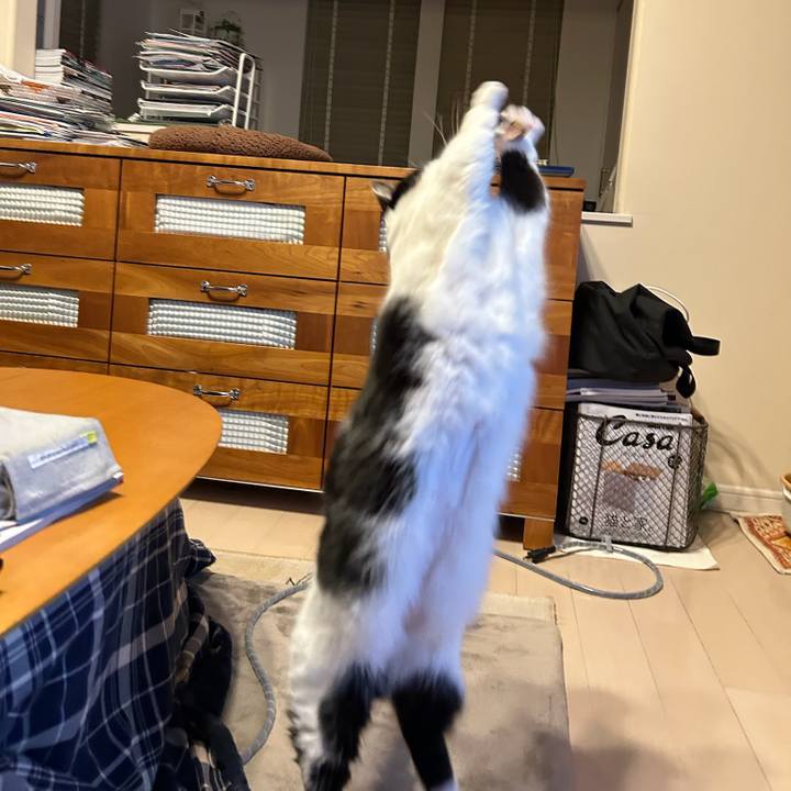 55143256 1531 42dd b9d3 a669ee3acdd0 1770592539055