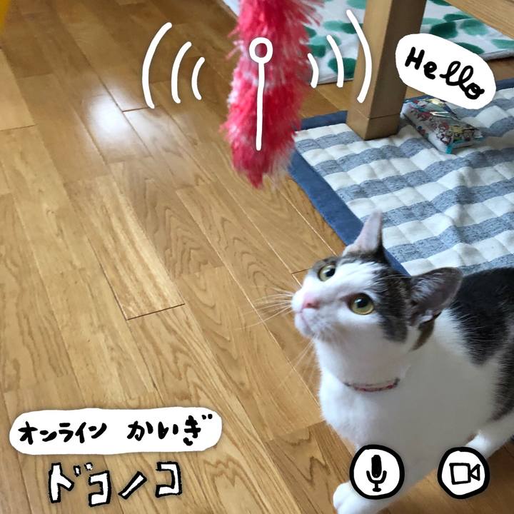 5514468e 489e 4899 85db ac6e4867d5b6 1592452732987