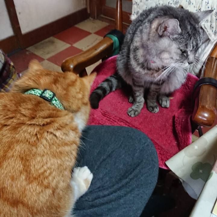 5514473f 5ab3 4e6a af46 ecebeb2496d0 1581205527709