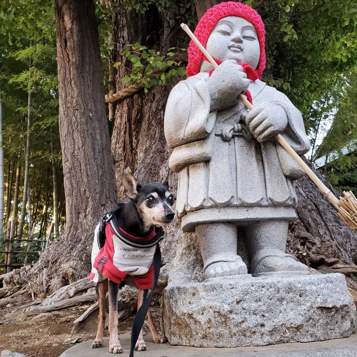 55145d2d 3685 42f5 8964 35bb38bedd57 1700751560344