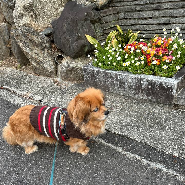 551470de 7886 492a 88fa 825e81fa7e9a 1711575441704