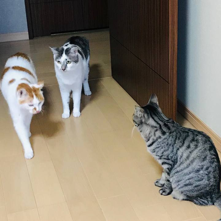 5514904e b3de 44b5 88f0 04b5cd4e7e84 1576313183400