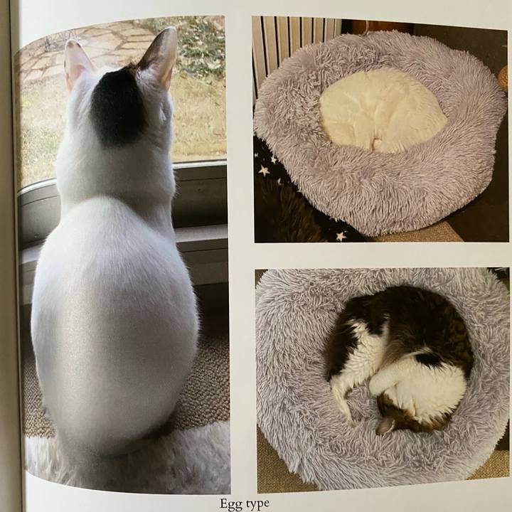 5514a9d0 94e2 4a8f bed7 e80aeb678e74 1665009033779