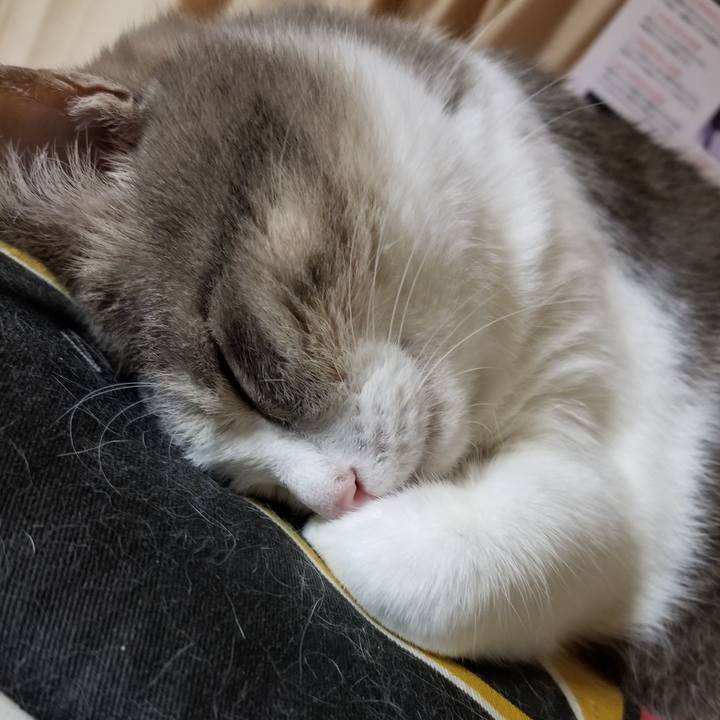 5514f783 2c1a 4e44 a19b 90c4b6eee220 1613196333228