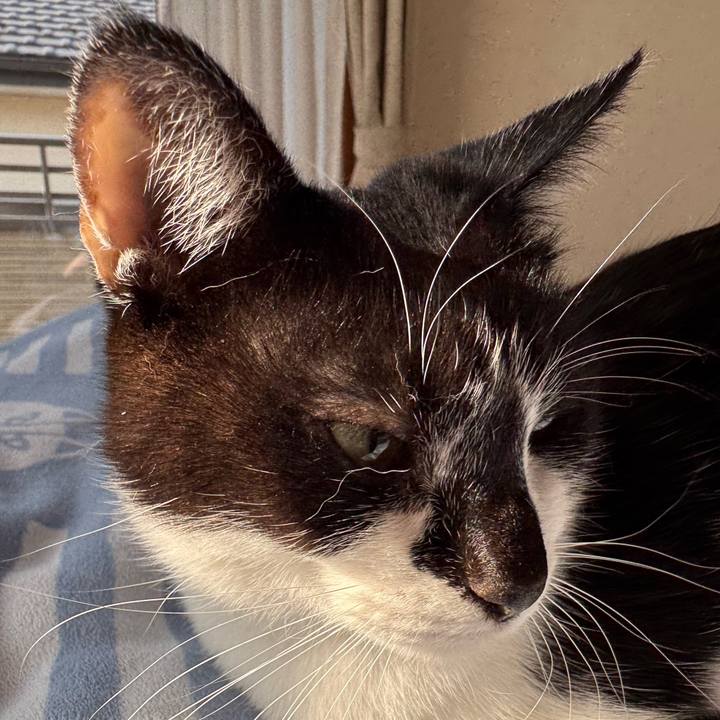 551516c1 9da2 4142 8494 fda203156416 1774152829892