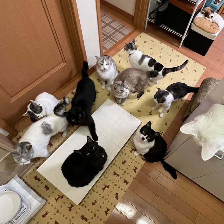 5515226f 55da 4149 89bd 81db42d60ca1 1701158647407