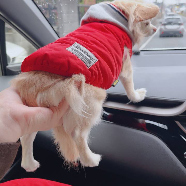 55152341 e2f3 42c4 aa51 ac6007140a03 1766292357843