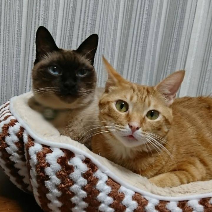 55153dbd 0294 4682 9f1f fea8da00f4a3 1512298127346