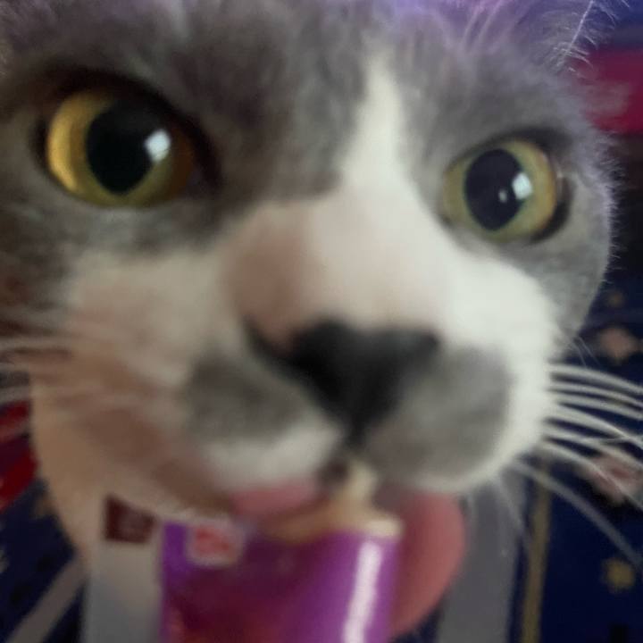 55154dc0 2430 4372 abcf c1866415b5ac 1667547812152