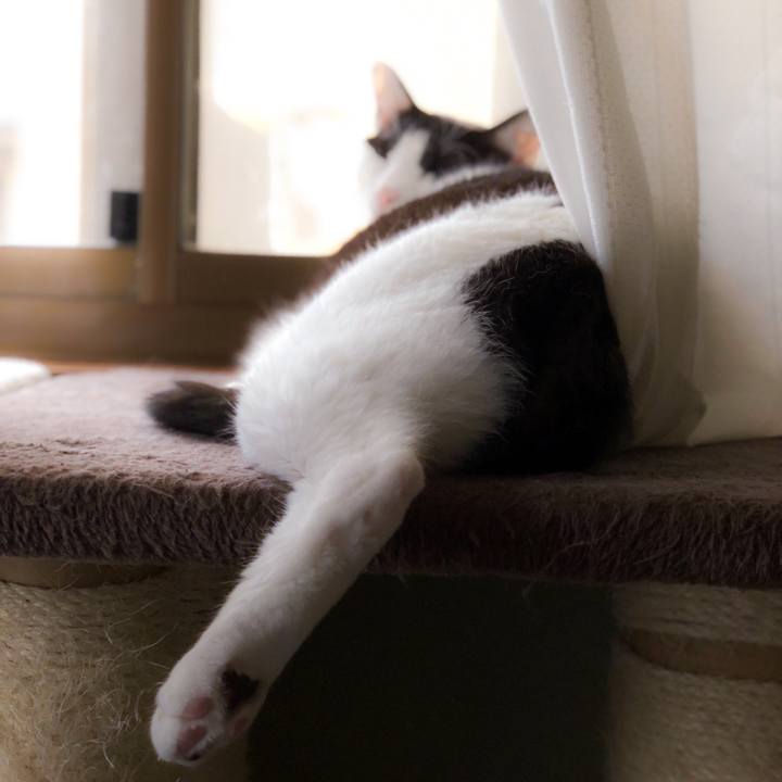 55155346 24fa 4225 9d7e bfcc2c30caf9 1563156334008