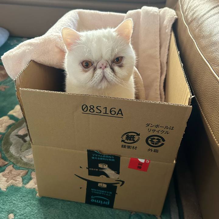 55155660 441b 4542 9bdd 8c6ea29550b1 1708916397096