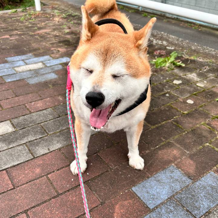 55155718 4f15 4fa8 866c ed3862543a1b 1731557014508