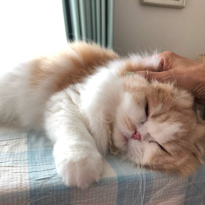 5515614d 69fa 4464 9f88 bb99b3bed6b5 1597019861588