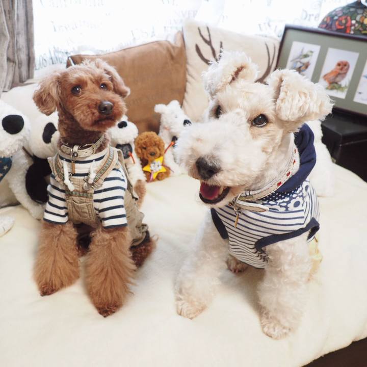 55158252 85b9 4aba b9af 0b5eba1209a3 1552257048389