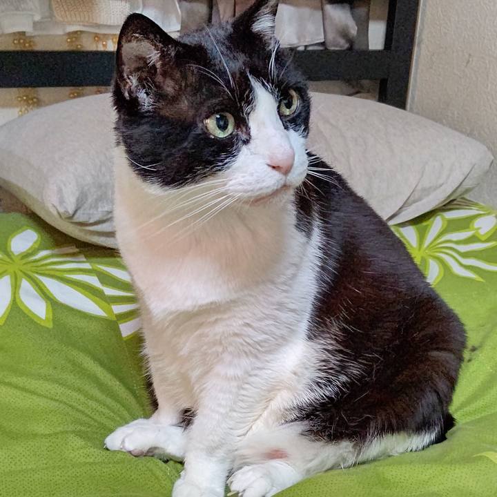 55158a2d f740 448e a2d6 42f9d2e7afc1 1643601500908