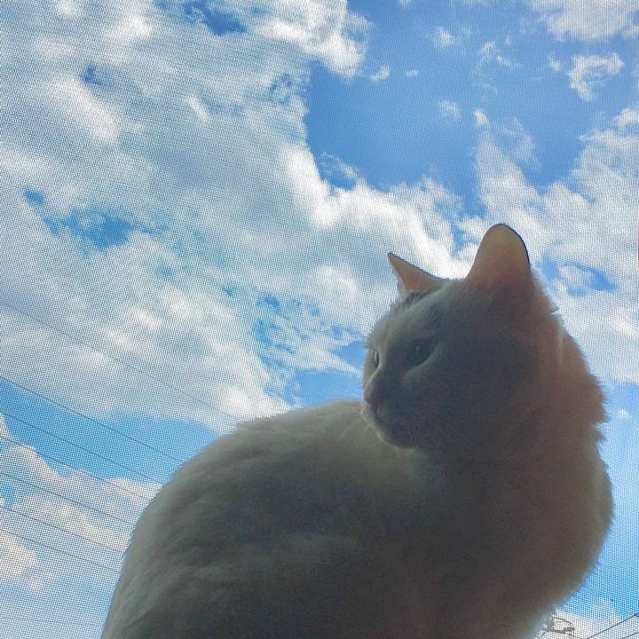 5515b293 71eb 4c63 807c dbf1d80dd37c 1589352395313