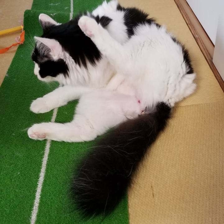 5515db92 d4ec 4b06 acf3 991fd551432b 1536017917778