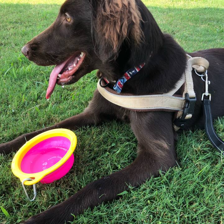 5515e943 b521 47b2 9f2b edc40dcfbd1e 1566090492831