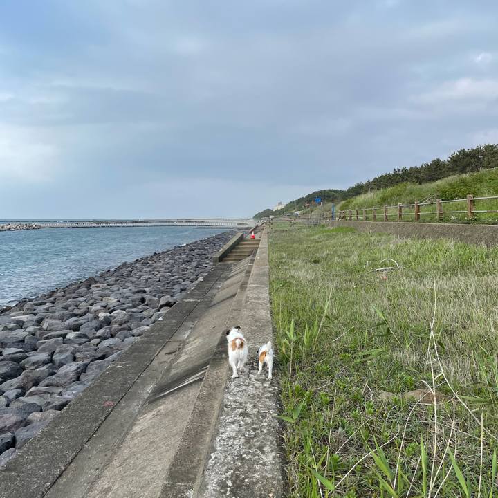 5515fdcf 4626 47e8 ac5a ef454252dd8e 1622277821444