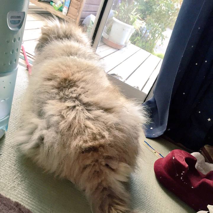 55160a04 649c 4665 96b8 be7c4b408ef5 1550014155561