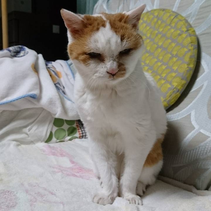 55160afa 2d5b 4aac 90c0 1c12aa4cc391 1553162067896