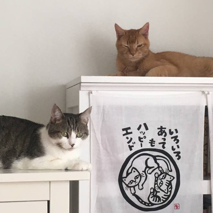 55162f8f e2a0 4b33 a8f4 7fd34762d91c 1665703454884