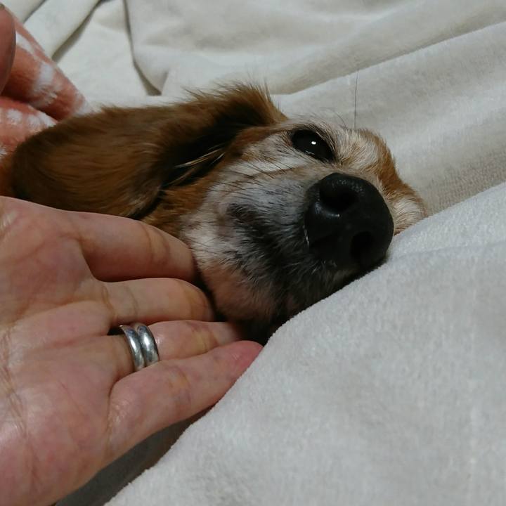 5516445e 0efb 4b7d ba1a c39619ba0fa2 1515991161316