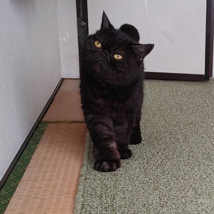 551662e5 bfed 4c35 83b7 37c6c41cf6df 1648288669639