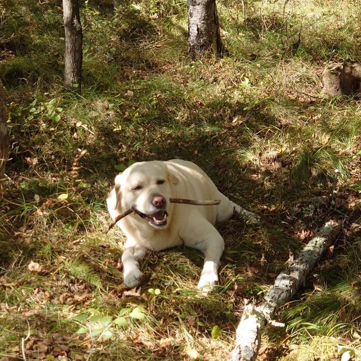 55168524 7f82 41a7 99ff 13b148a49f2d 1633506683011