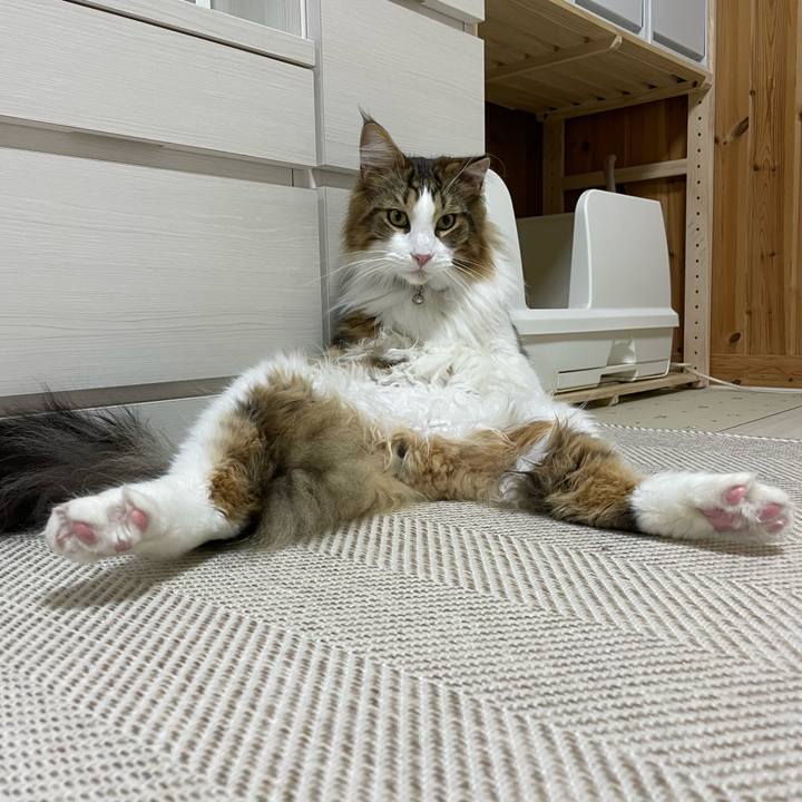 551690ed 7b88 40ec b0dd 86ed4a95311e 1652213604270